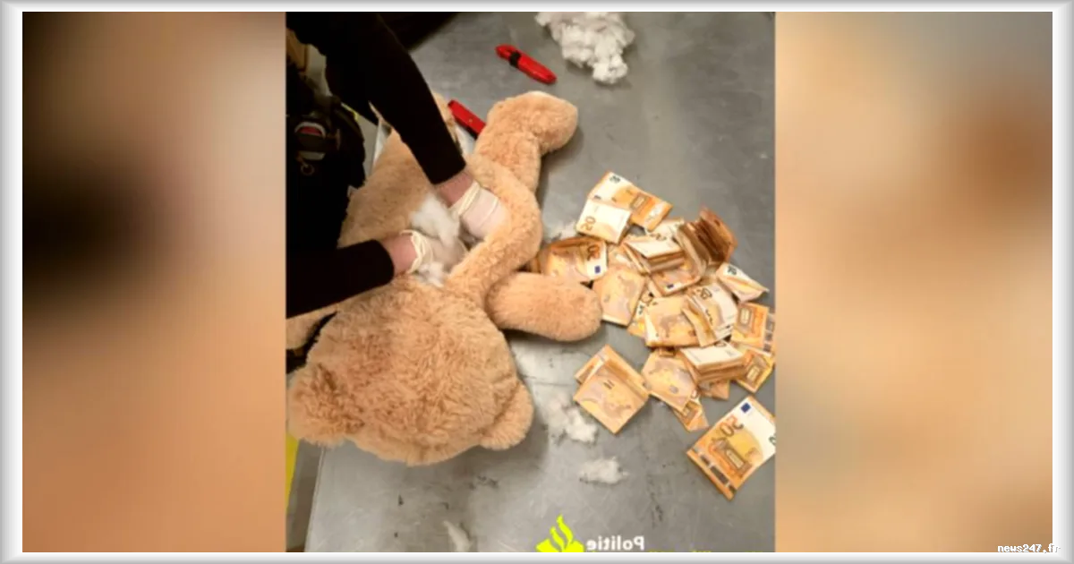 50.000 euros saisis en billets cachés dans un ours en peluche par la police néerlandaise