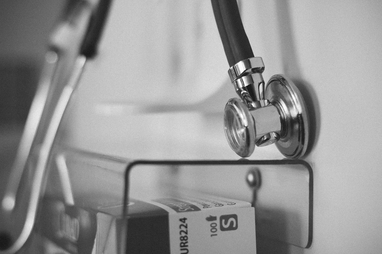 À l’hôpital psychiatrique de Ville-Evrard, les ânes deviennent des auxiliaires thérapeutiques