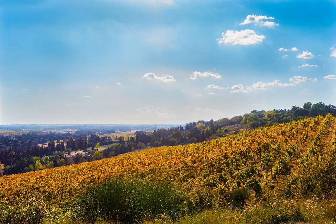 À Nîmes, le RN joue les séducteurs politiques