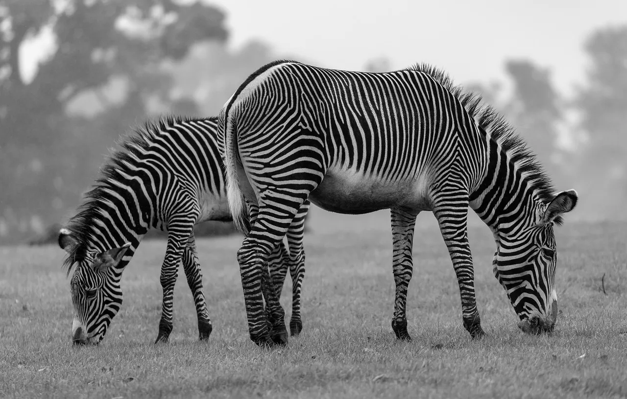 À Savannah, la mémoire de l’esclavage persiste malgré les célébrations du 250e anniversaire des États-Unis