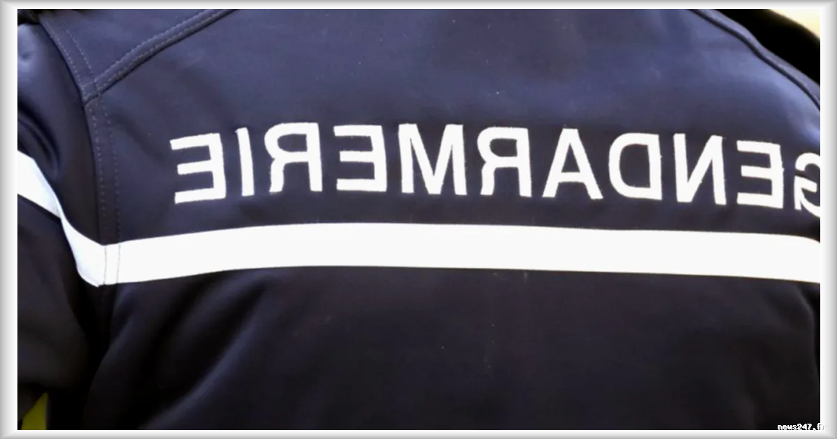 Accident mortel près de La Réole : un adolescent de 16 ans meurt au volant d’une voiture volée, deux passagers grièvement blessés