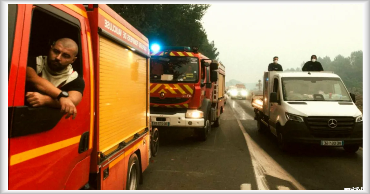 AdBlue et incendies : comment l’Allemagne a résolu un problème connu depuis 2018, contrairement à la France