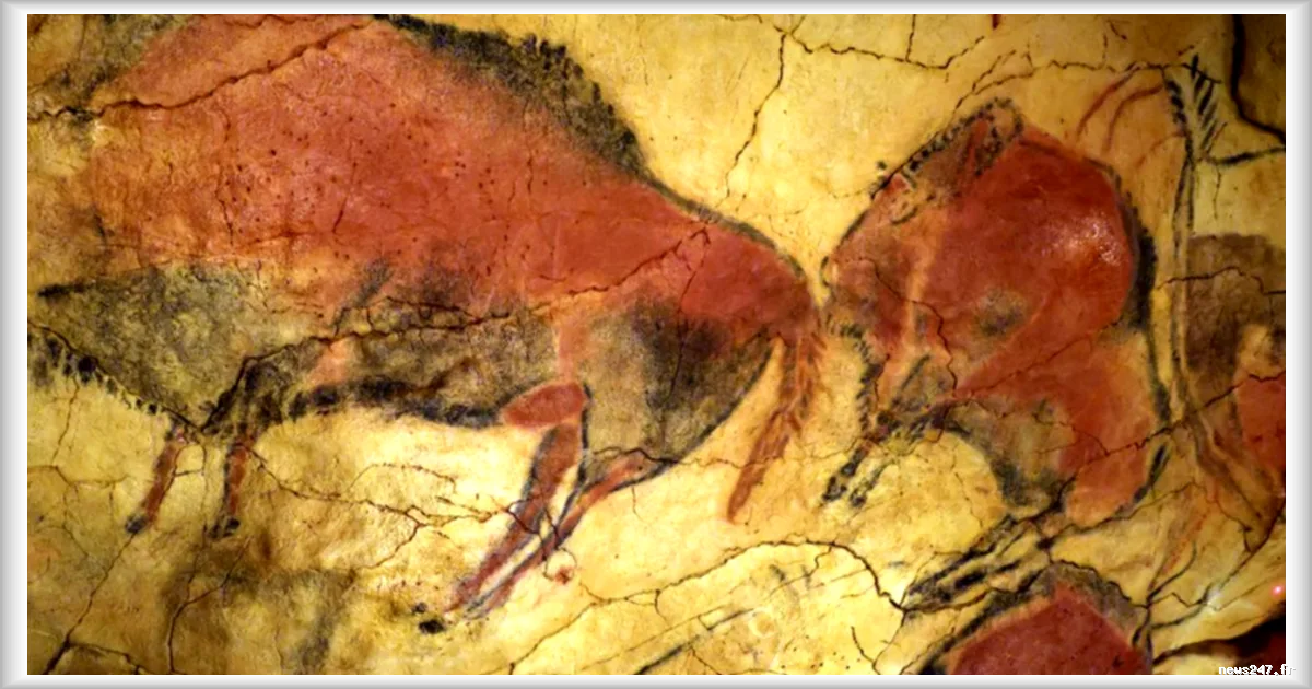 ADN humain prélevé sur les parois de grottes préhistoriques : une avancée majeure pour l’archéologie