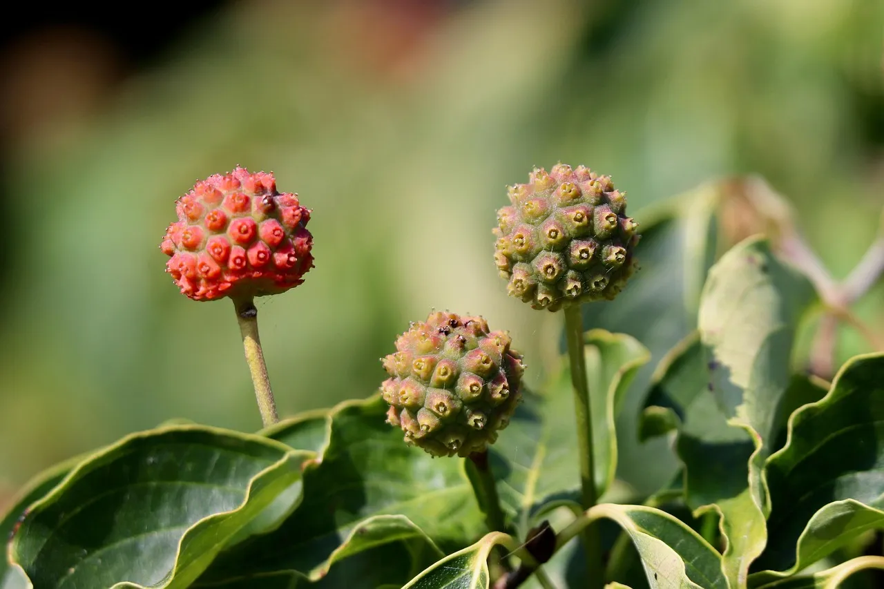 Affaire du lait infantile contaminé : une association dépose trois plaintes et exige des investigations approfondies
