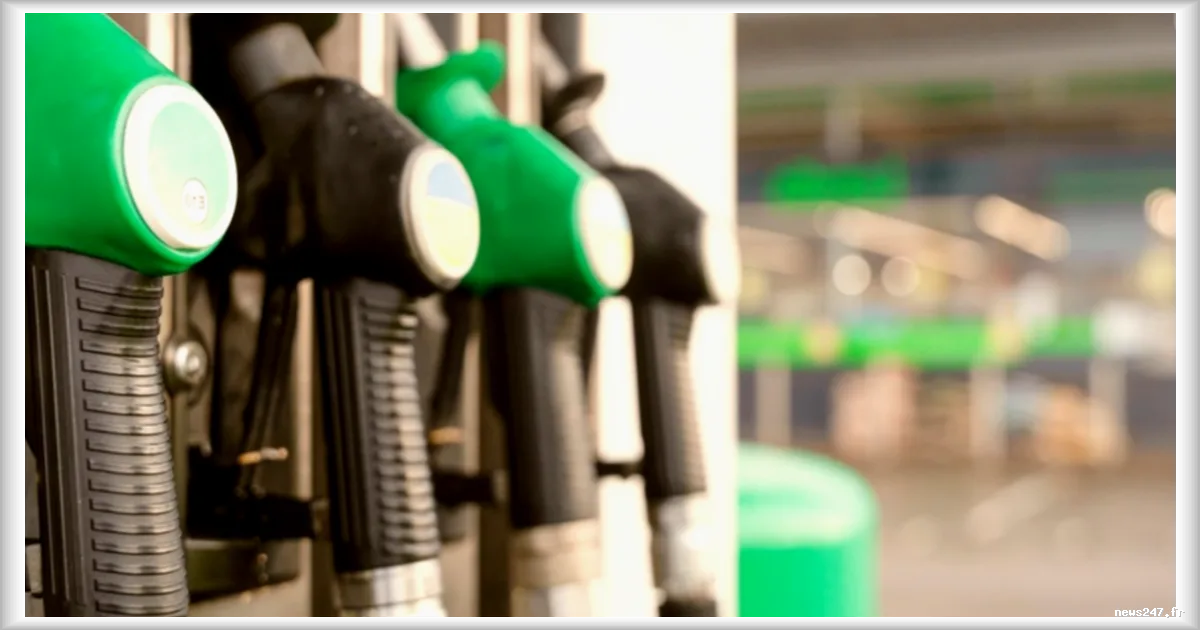 Afflux massif aux stations-service : les craintes des Français alimentent la hausse malgré l'absence de pénurie