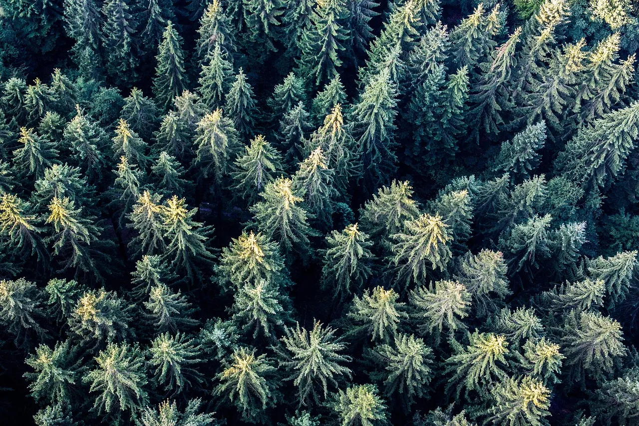 Air Liquide sous les projecteurs : analyse et perspectives