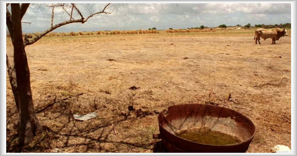 Alerte sécheresse en Guadeloupe : La moitié du territoire touchée
