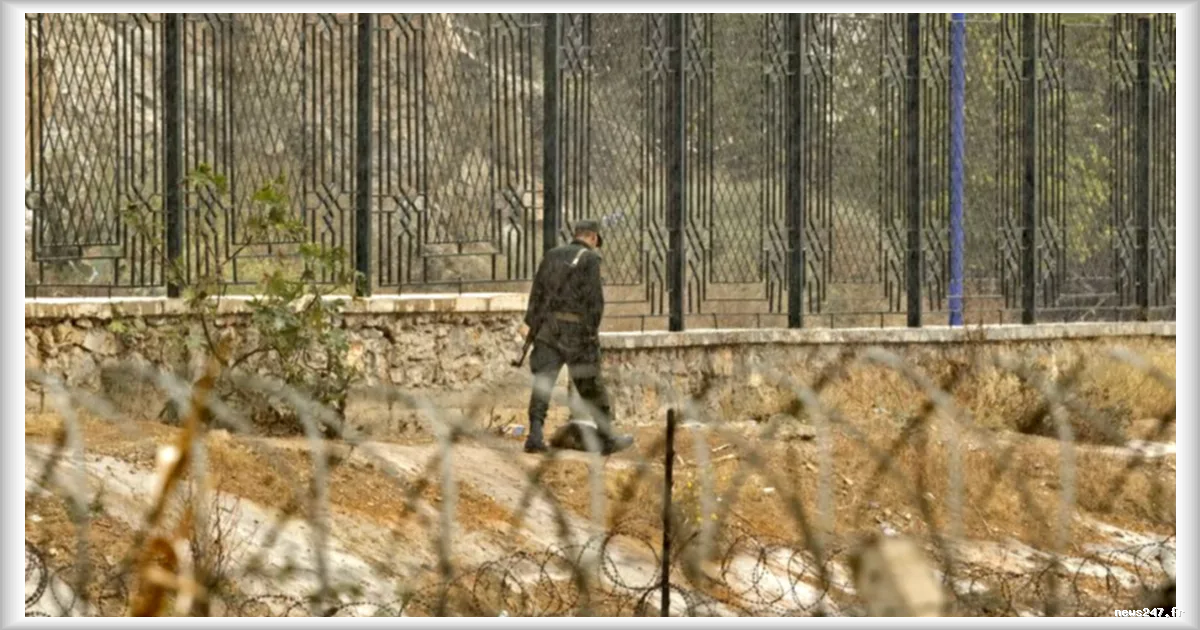 Algérie : l'armée annonce avoir perdu trois soldats et tué sept djihadistes