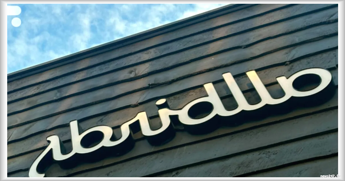 Allbirds se reconvertit en entreprise IA : une nouvelle voie pour la marque de chaussures