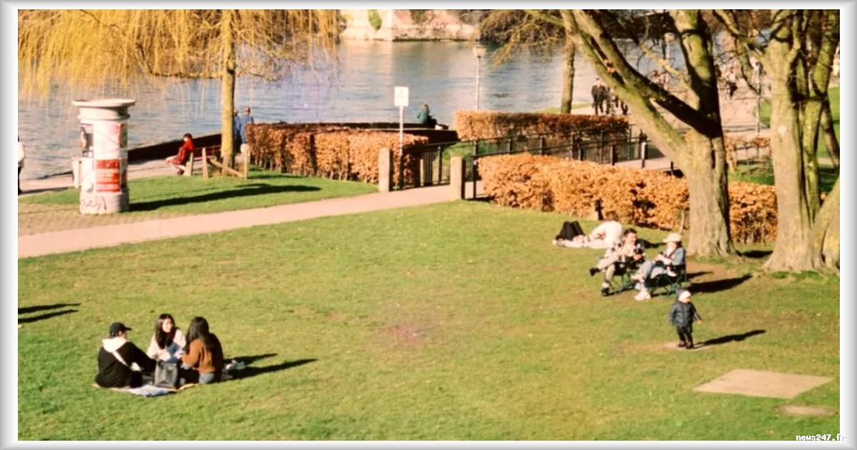 Alpana Gandhi : Dix ans d'expatriation en Allemagne, entre défis et satisfactions