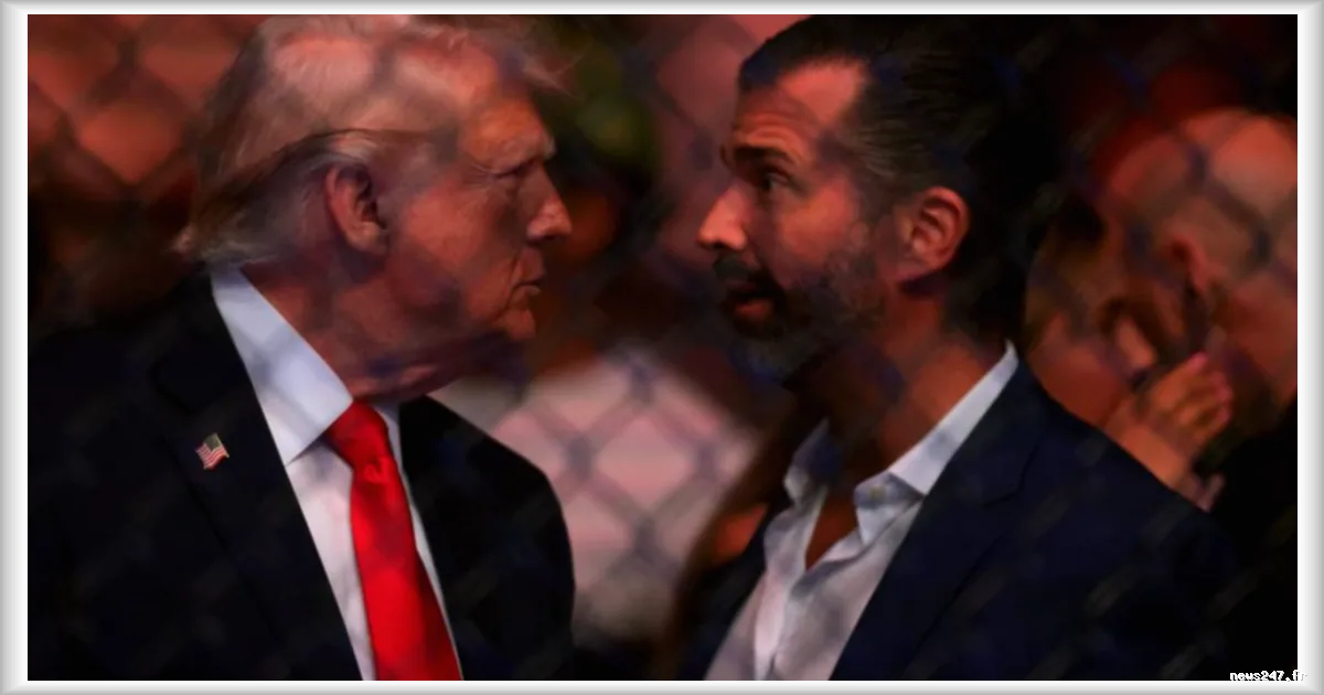 Amazon Prime envisage de relancer l'émission "The Apprentice" avec Donald Trump Jr. comme animateur