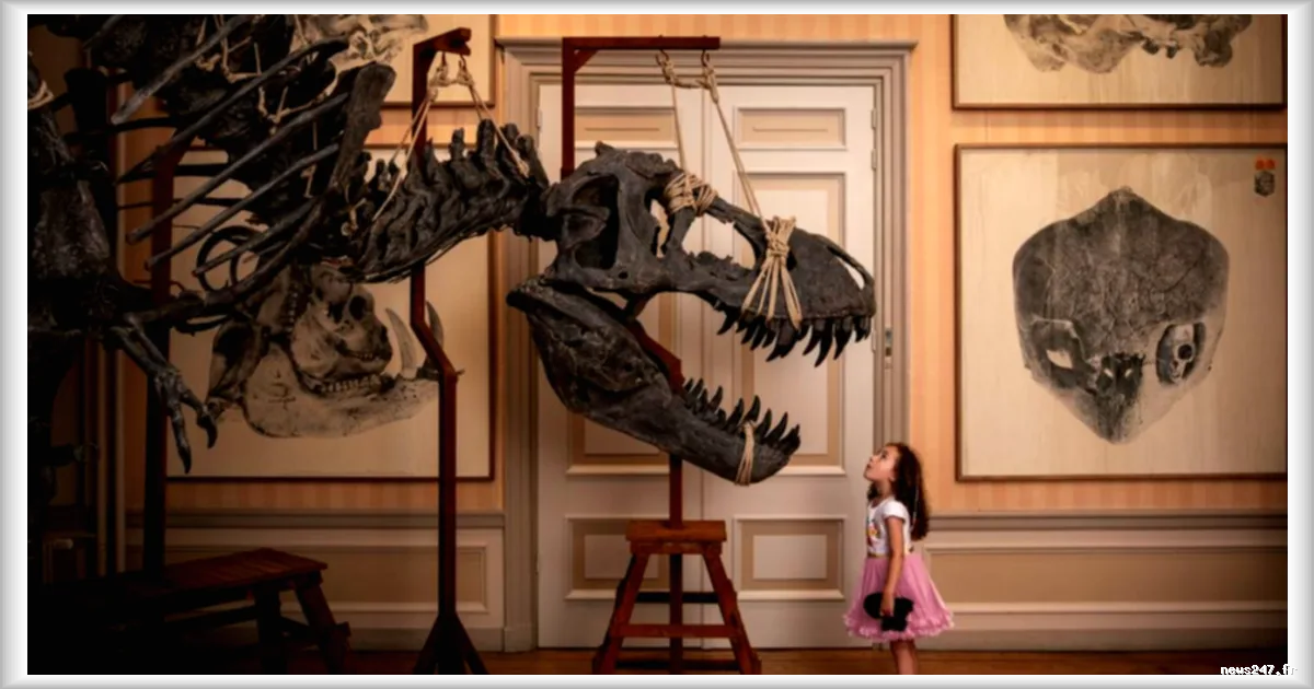 Amsterdam expose neuf sculptures de fossiles de dinosaures transformés en œuvres d'art à Art Zoo