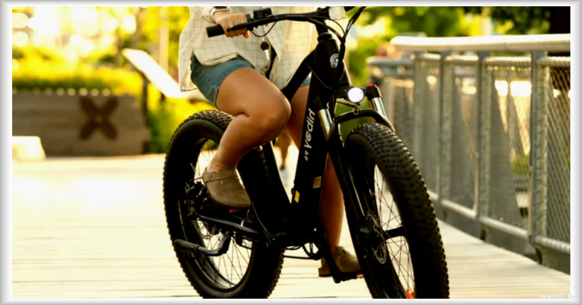 Amsterdam interdit les fatbikes électriques dans le Vondelpark