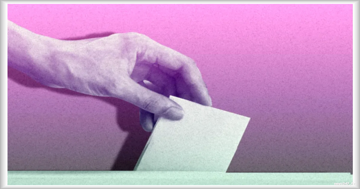 Analyse d'un politiste : la stratégie controversée de radicalisation idéologique de LR selon Emilien Houard-Vial