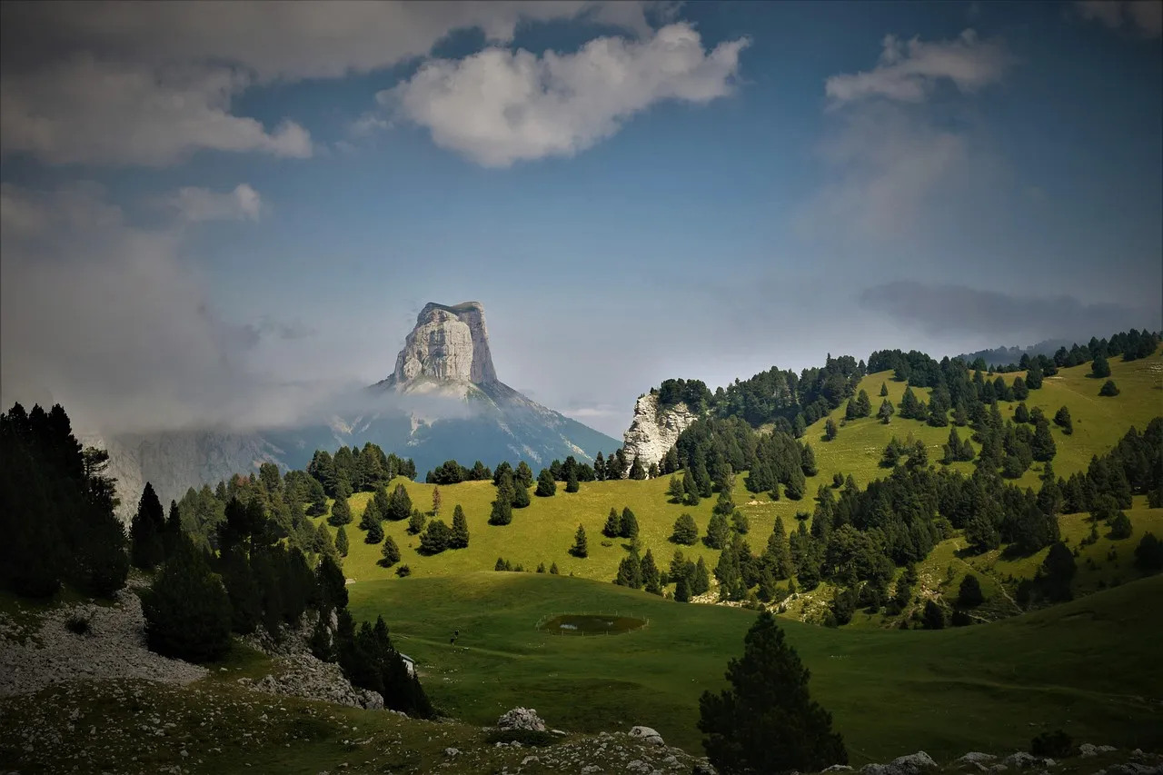 Arrachage massif des vignes en Occitanie : la campagne 2026 redessine les paysages viticoles