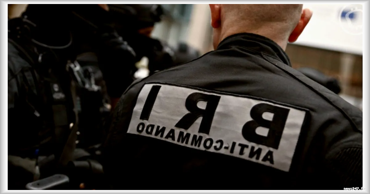 Arrestation du Dernier Membre de l'Organisation Criminelle Ayant Enlevé David Balland et sa Compagne : Retour sur l'Affaire