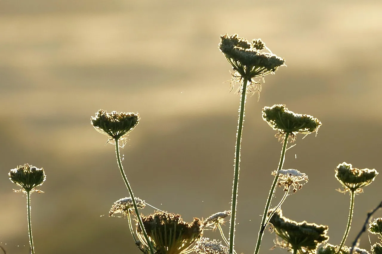 Arrêt de travail : les employeurs doivent octroyer 24 jours de congés payés par an