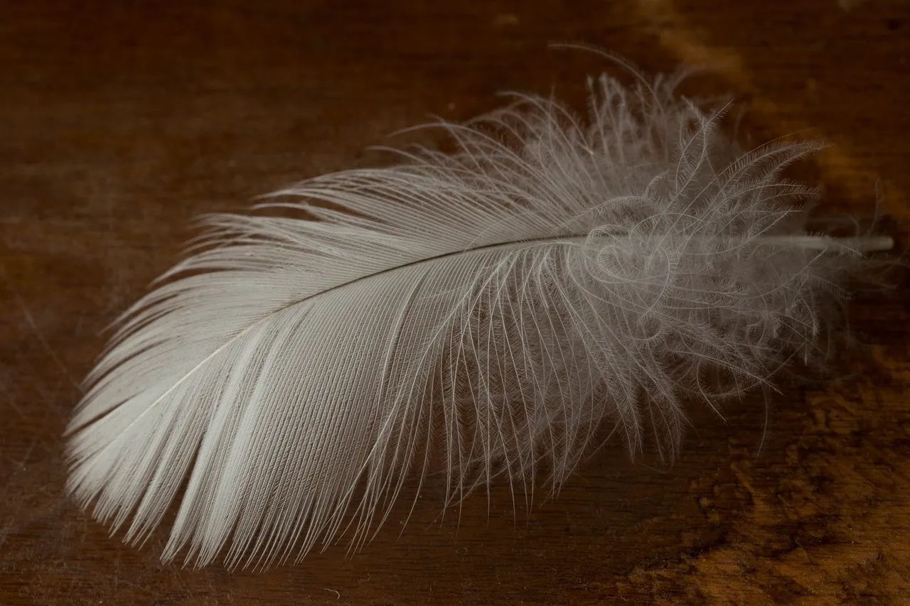 Arundhati Roy : quand la plume devient une arme contre l'extrême droite en Inde