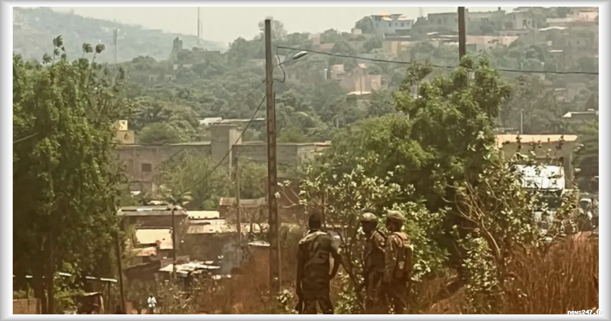 Attentats au Mali : les scénarios possibles après les attaques