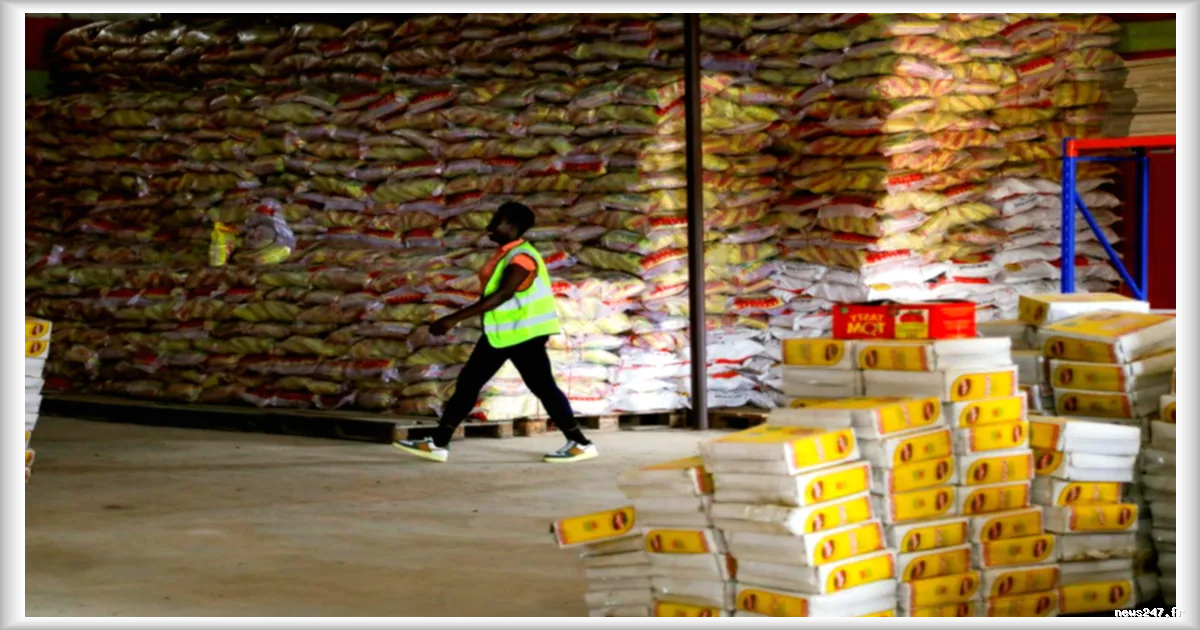 Au Ghana, une usine de pâtes pour renforcer la souveraineté alimentaire