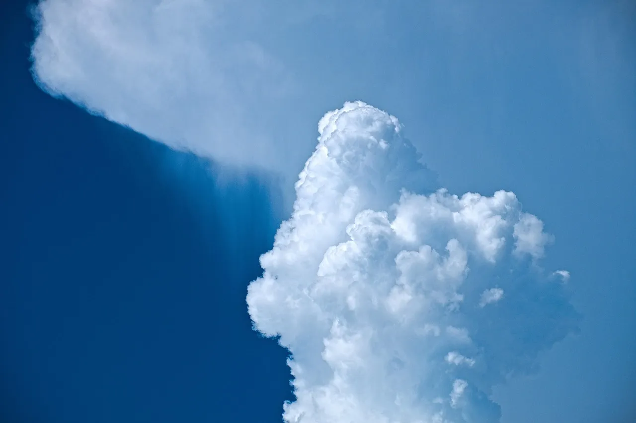 Aubagne : les salariés d'Alinea se rassemblent face à la menace de liquidation