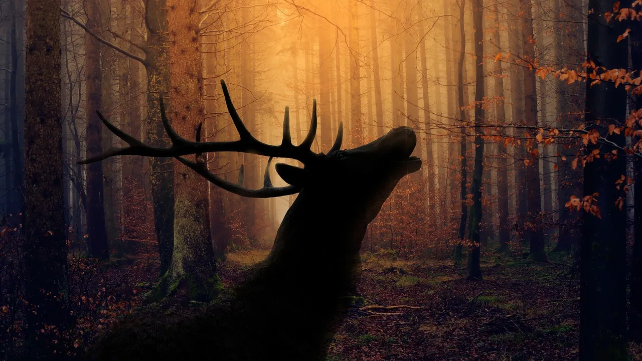 Autisme : la HAS met fin à la recommandation de la psychanalyse et d'autres méthodes