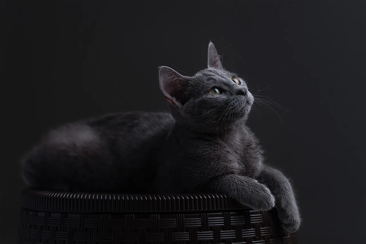 Baïkonour : le retour en fanfare d'une fusée russe, mais pour combien de temps ?