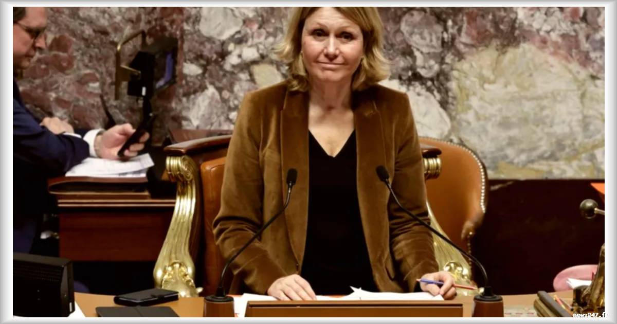 Banque de la démocratie : le retour d’une proposition controversée pour financer les partis politiques