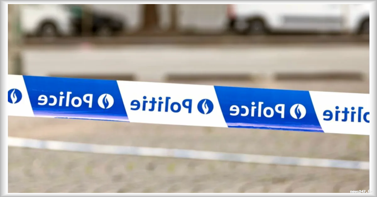 Belgique : collision entre un car scolaire et un train, plusieurs victimes à déplorer