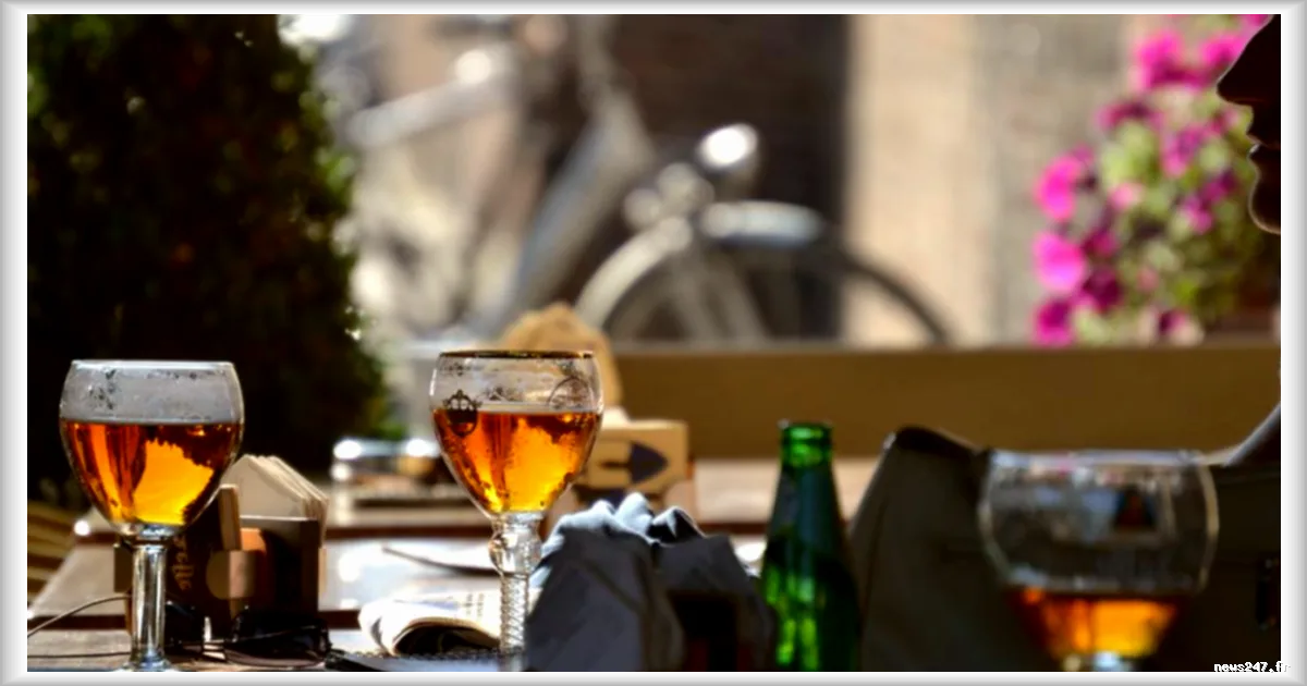 Belgique : le lobby brassicole s'oppose à l'élargissement des avertissements sanitaires sur l'alcool