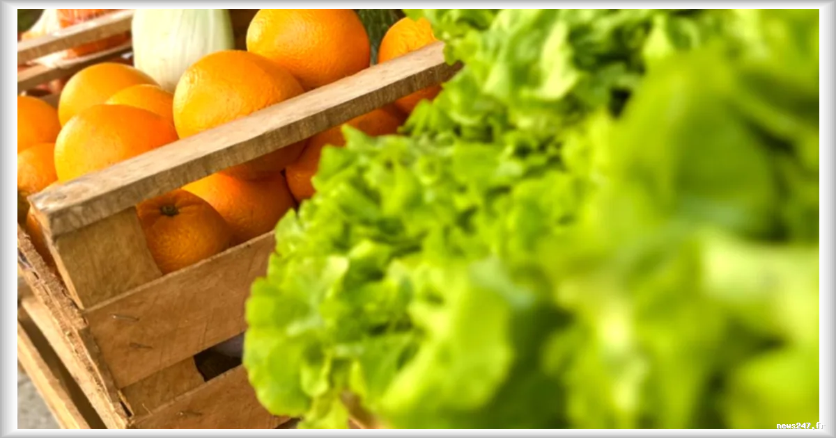Bio en supermarché : Que Choisir dénonce des marges 81 % plus élevées que pour le conventionnel