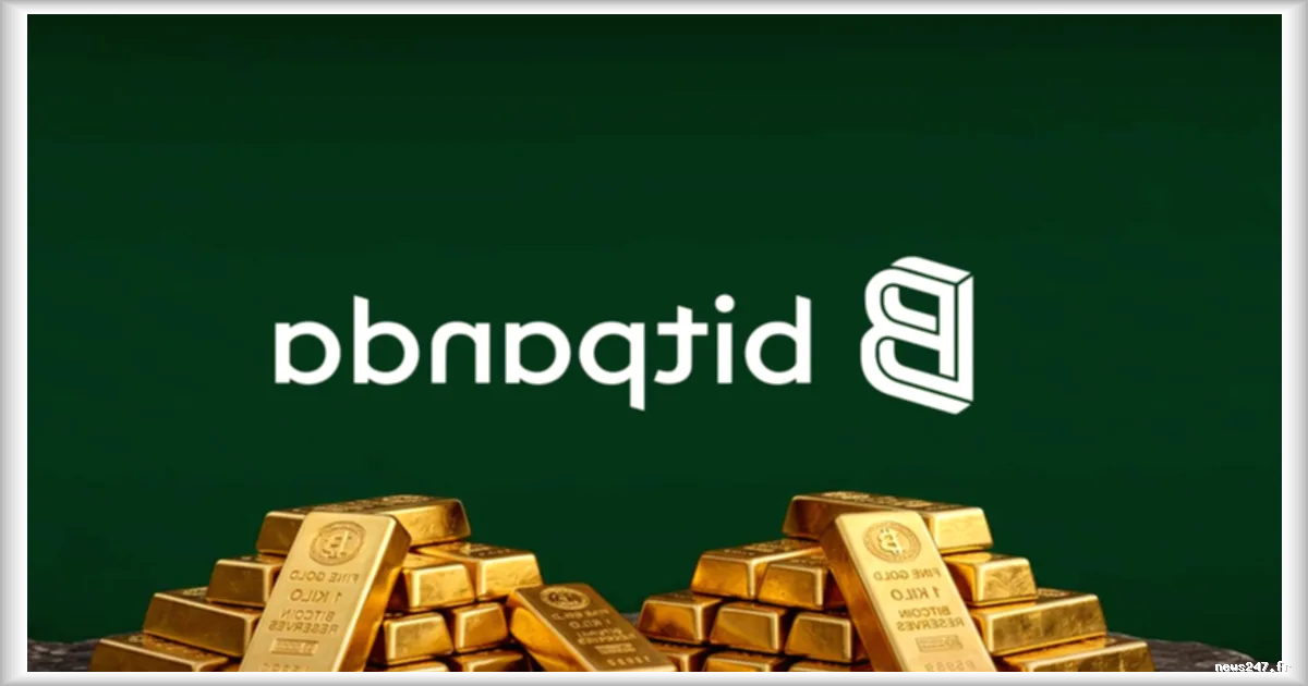 Bitpanda innove en Europe avec un trading sur marge jusqu’à 20x sur actions et ETF
