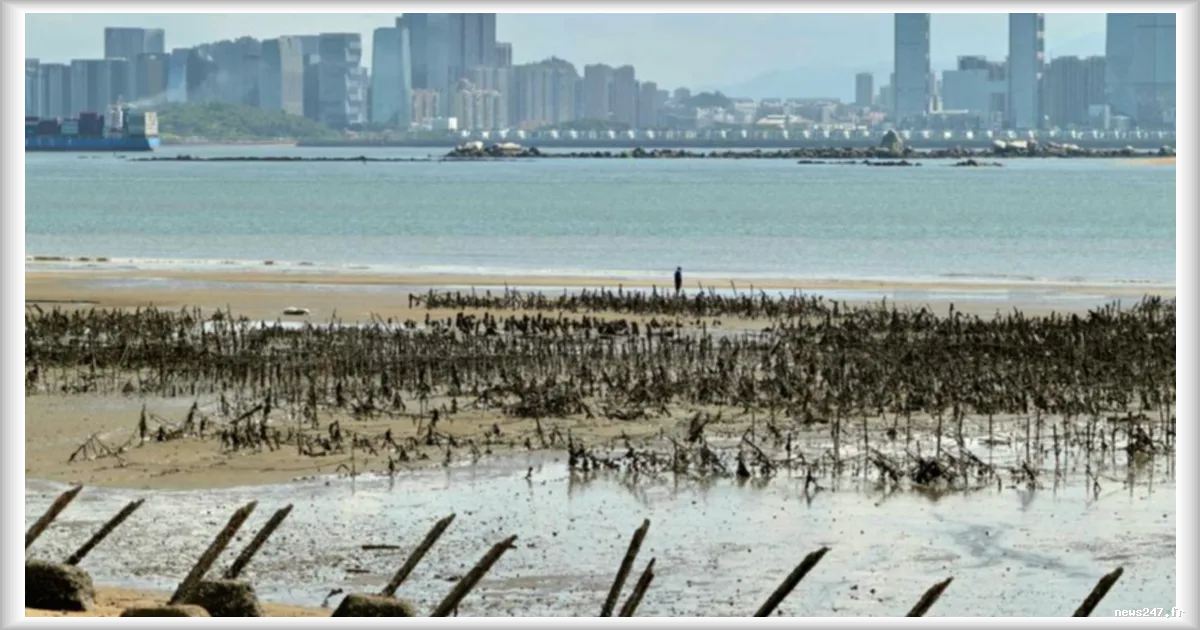 Blocus du détroit de Taïwan : un scénario aux conséquences mondiales bien plus graves que celui d’Ormuz