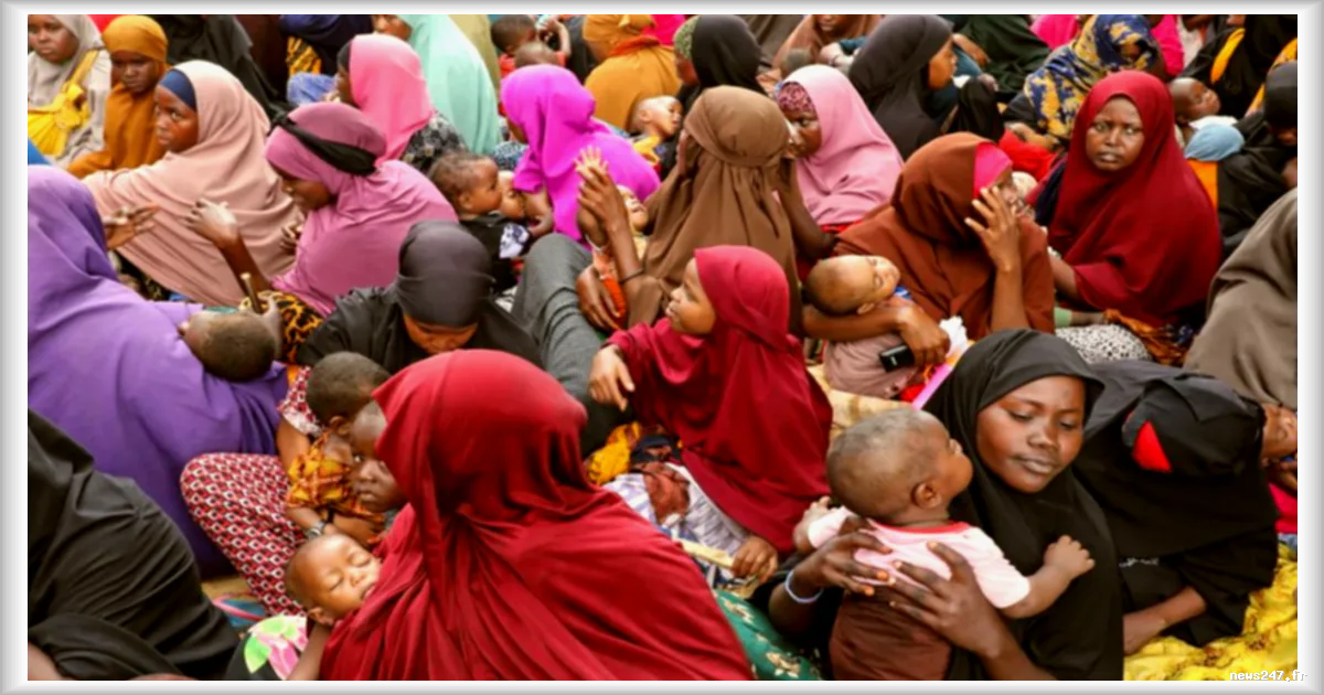 Blocus du détroit d’Ormuz : l’Afrique confrontée à une aggravation des crises alimentaires