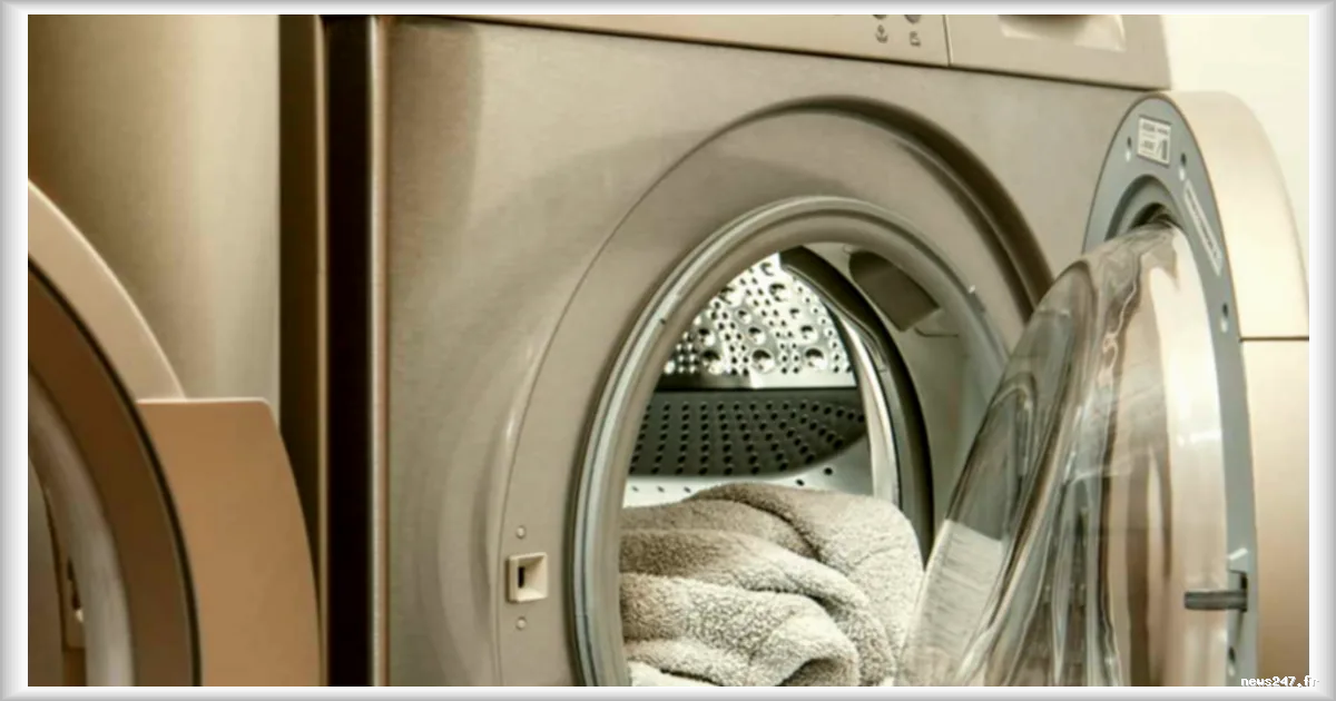 Bonux relancée : la lessive iconique revient avec son cadeau et un chiffre d'affaires de 12 millions d'euros