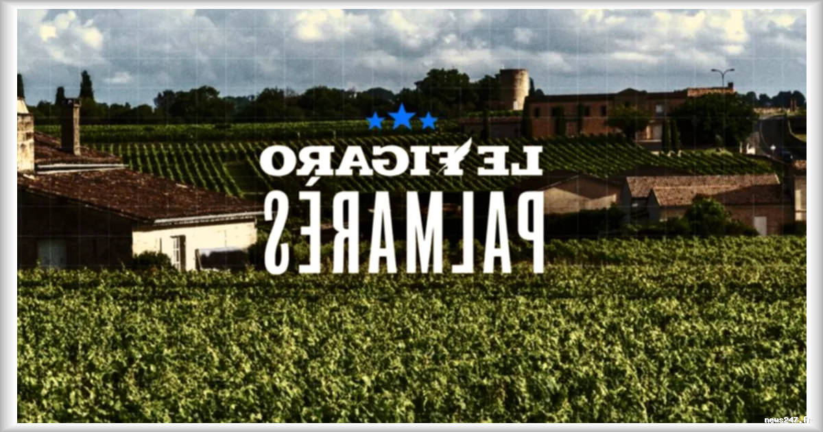 Bordeaux 2025 : le Figaro dévoile son palmarès des 100 meilleurs vins rouges en primeur