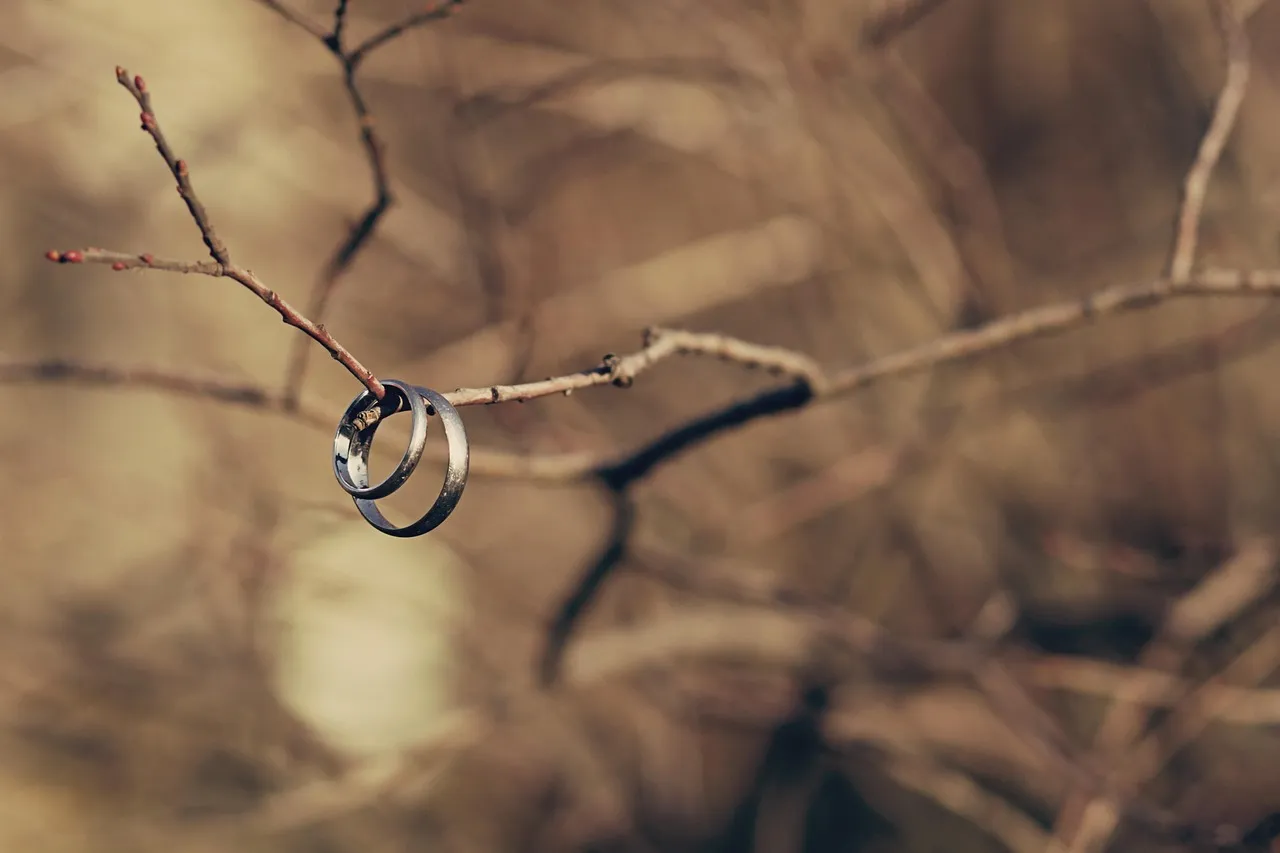 Braquage en plein jour sur une autoroute italienne : comment les choses ont-elles pu aller si loin ?