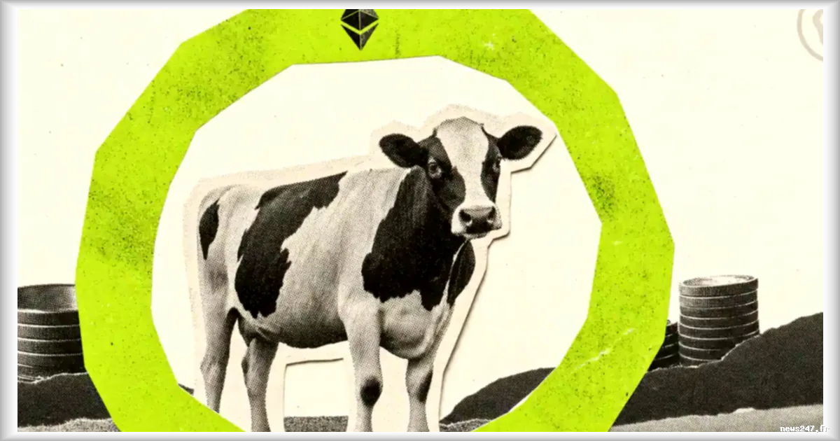 Brésil : la tokenisation du bétail permet à des éleveurs d’obtenir un prêt garanti par des vaches numérisées