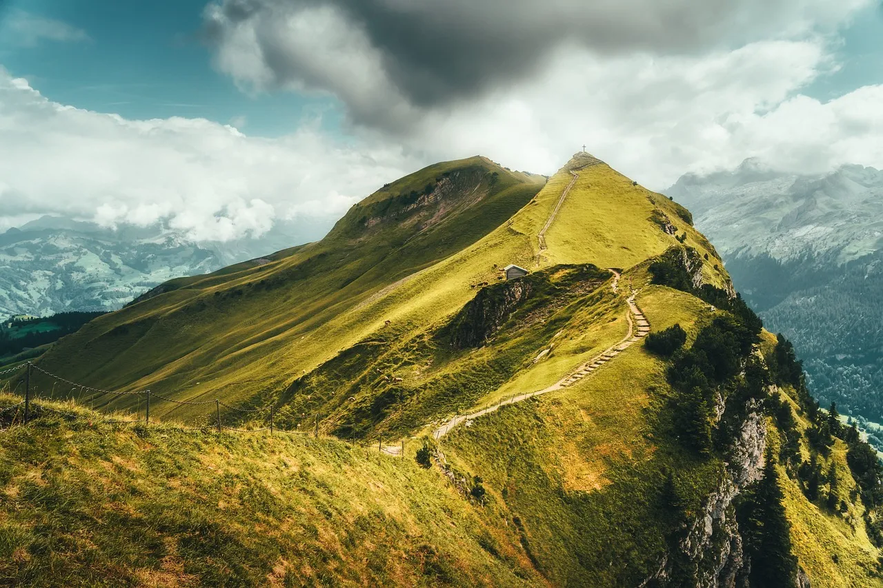 CAC 40 au sommet : un jour historique pour les investisseurs - 12 février