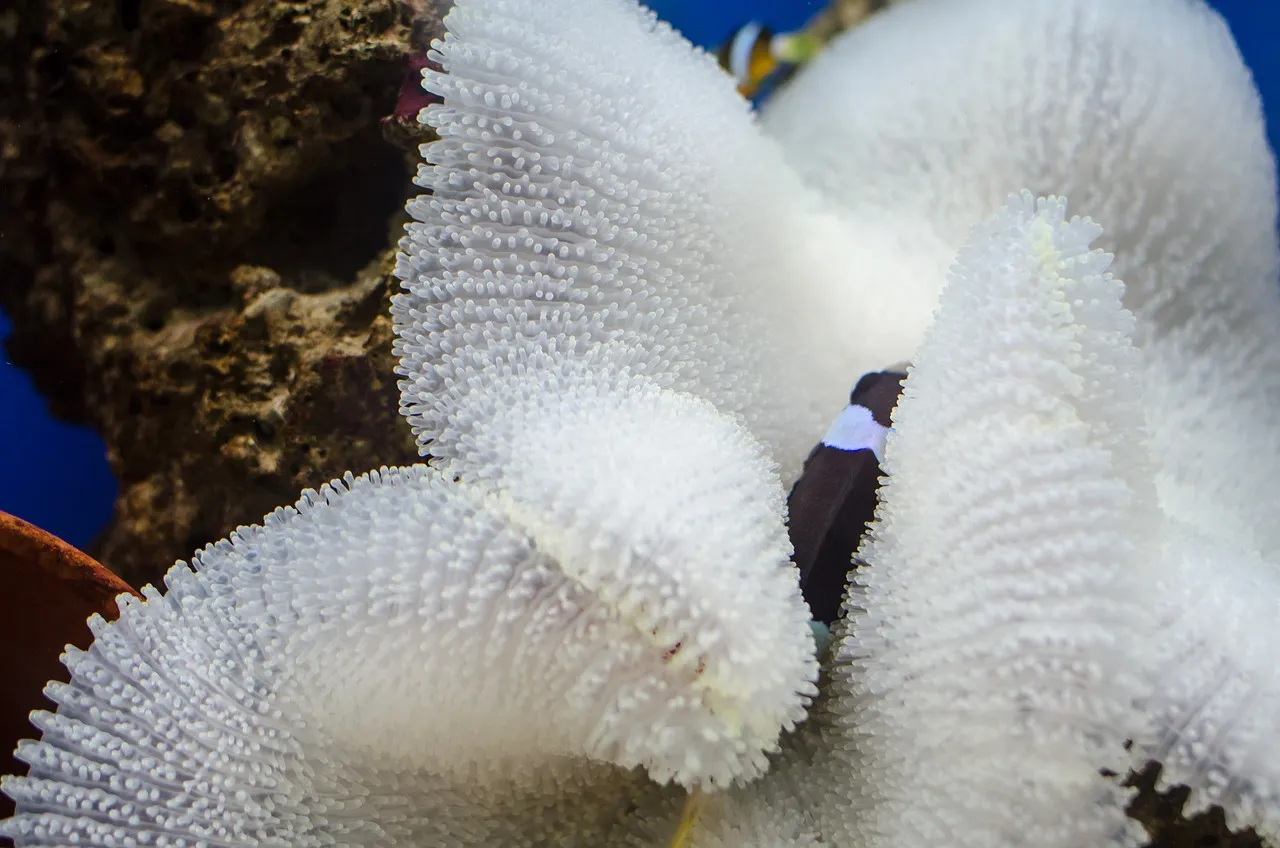 CAC 40 : Une séance contrastée marquée par un repli en fin de journée