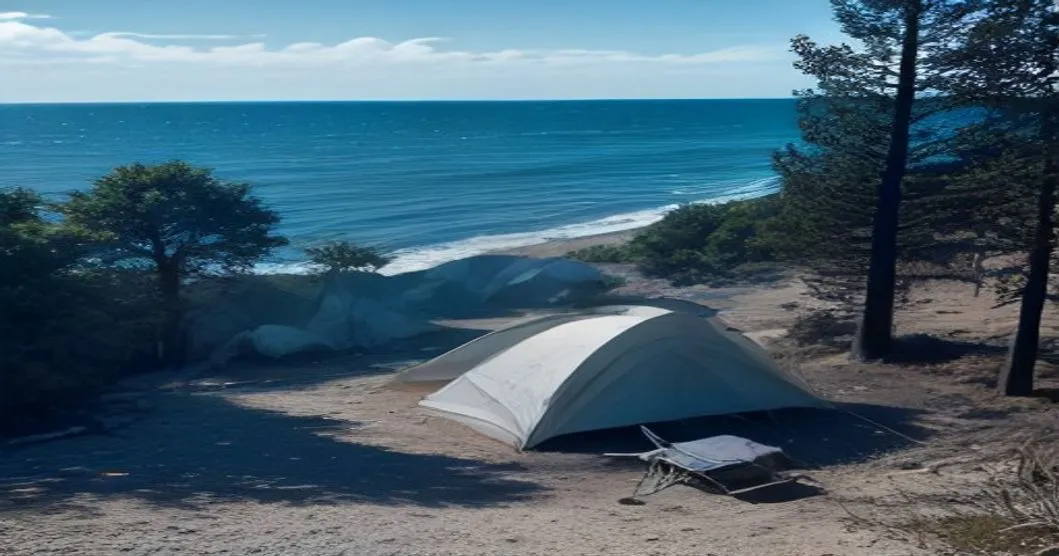 Camping des Grands Pins à Lacanau-Océan : soixante ans de résilience face aux défis climatiques mis à l’épreuve par les incendies