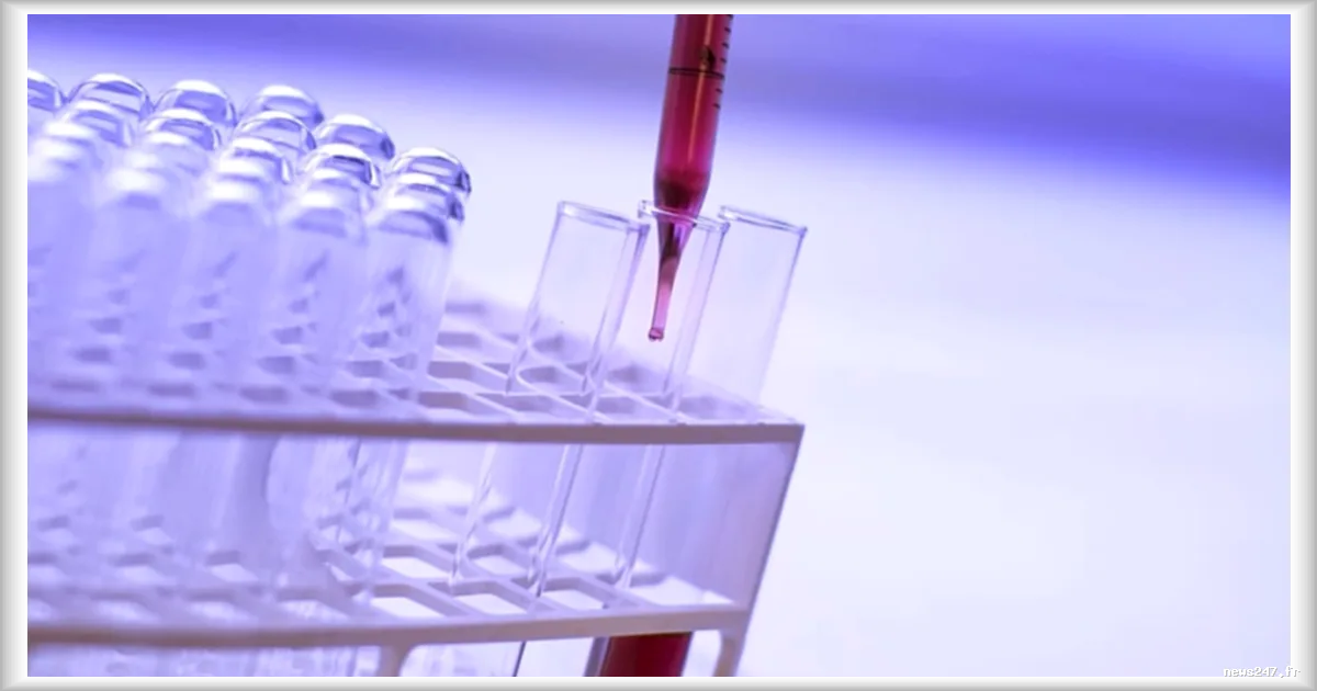 Cancer colorectal : le programme de dépistage du Pays basque réduit de moitié la mortalité chez les 50-69 ans
