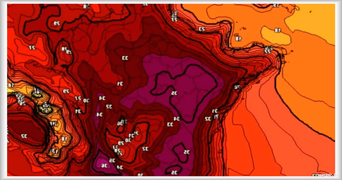 Canicule annoncée : comment distinguer les vrais modèles météo des alertes trompeuses