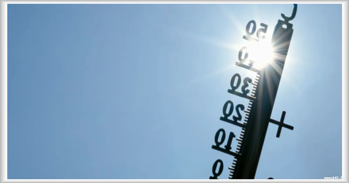 Canicule en Europe centrale : plus de 269 millions de personnes touchées par des températures dépassant 30°C