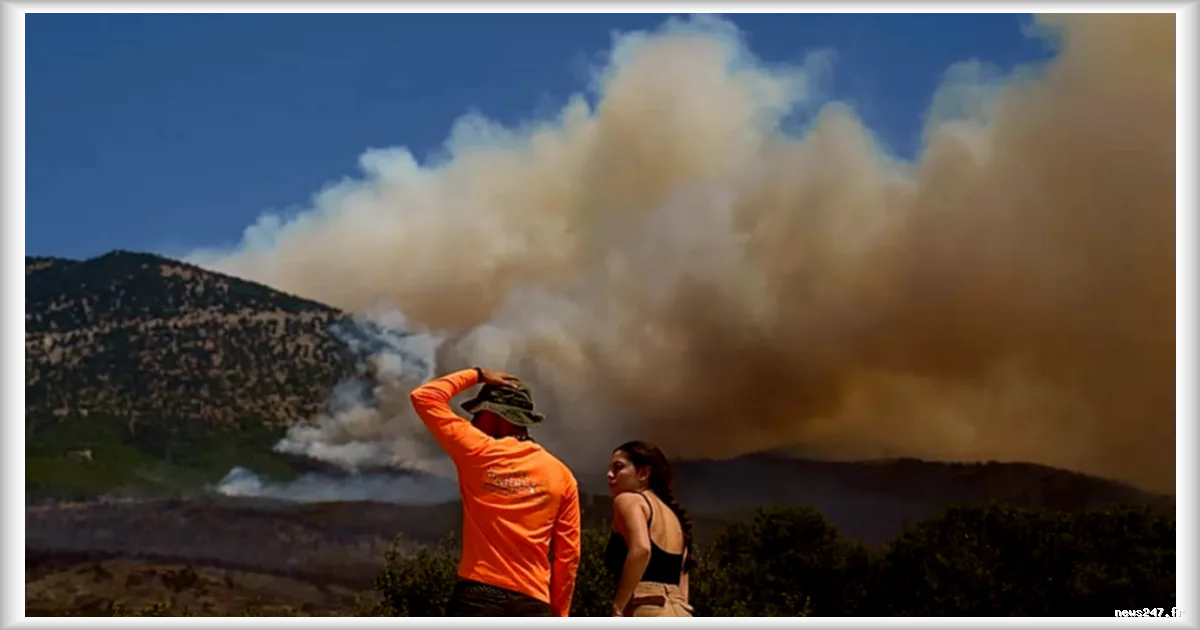 Canicule en Europe du Sud : alertes toxiques en Espagne, réacteurs à l'arrêt en France