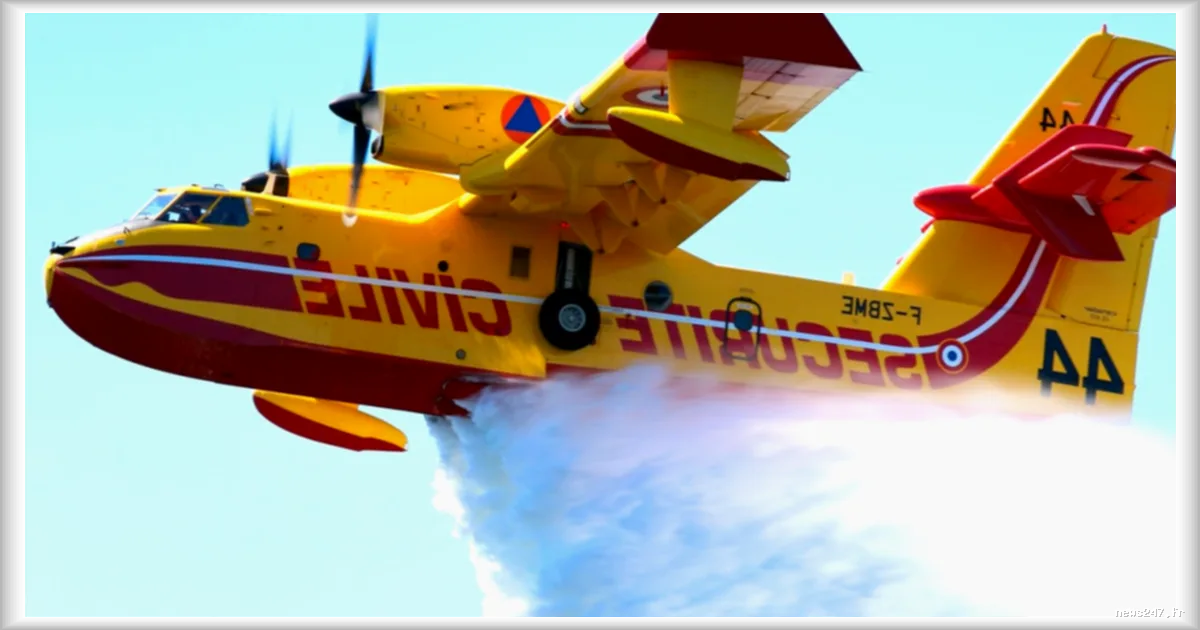 Canicule et feux de forêt : Google Maps intègre le suivi en temps réel des incendies en France