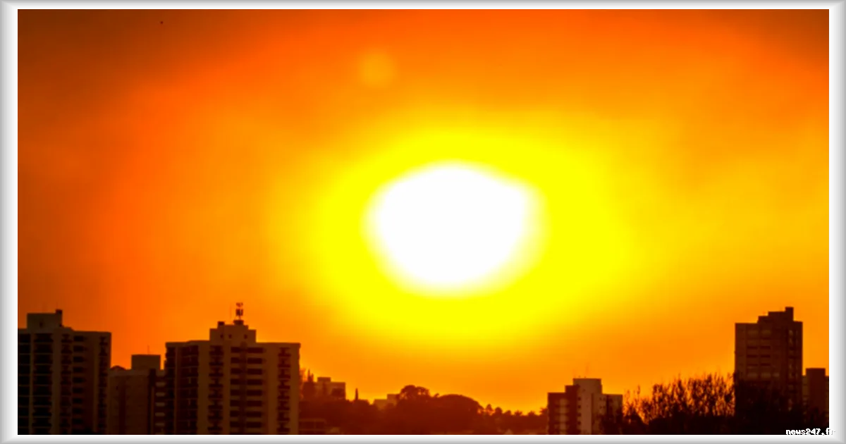 Canicule et fumées des incendies : les médecins alertent sur un cumul dangereux pour la santé