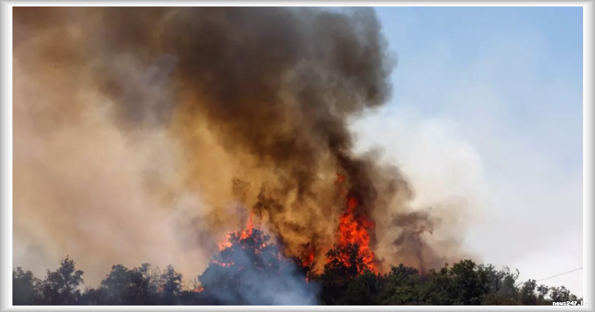 Canicule et sécheresse : 67 départements en vigilance orange, risques d’incendie majeurs