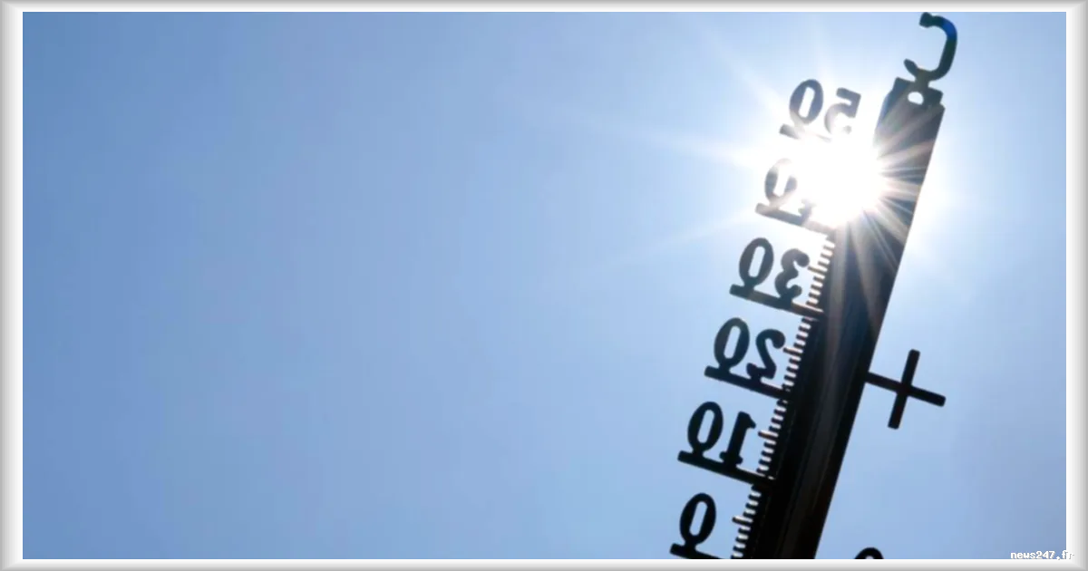 Canicule : la marche des Fiertés de Lyon reportée à septembre pour raisons de sécurité