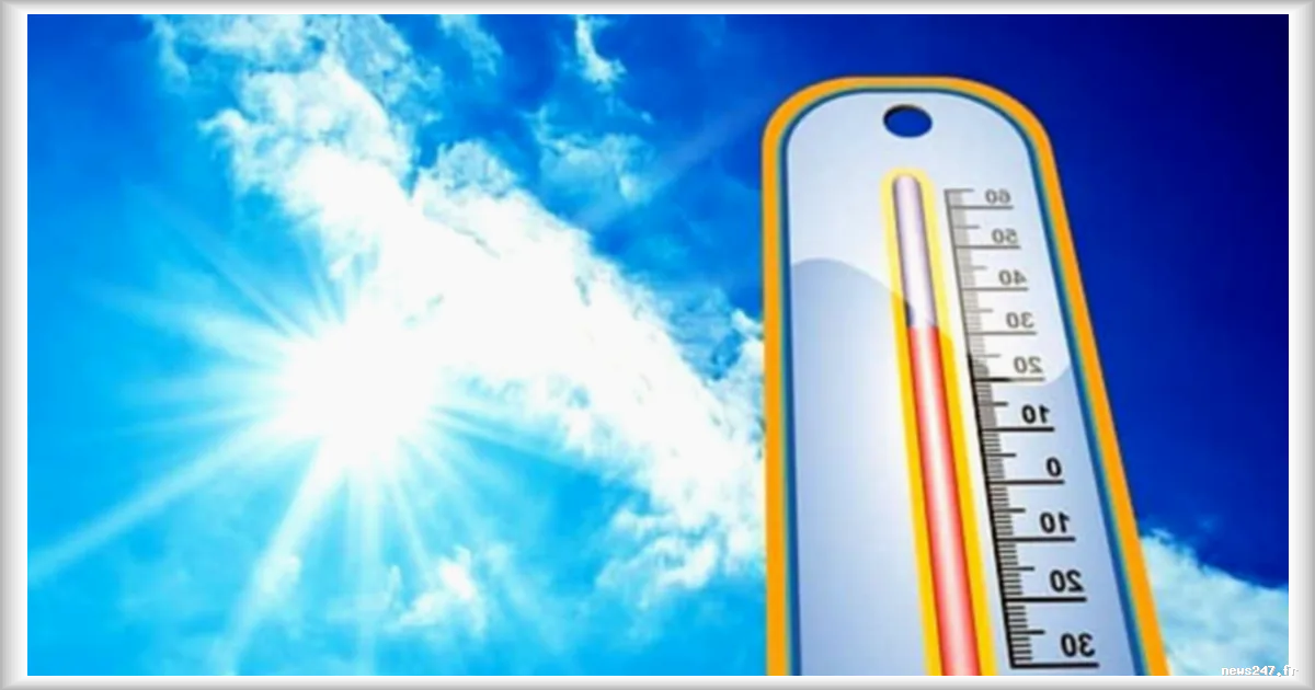 Canicule : le ventilateur de plafond, une alternative économique et écologique face à la climatisation